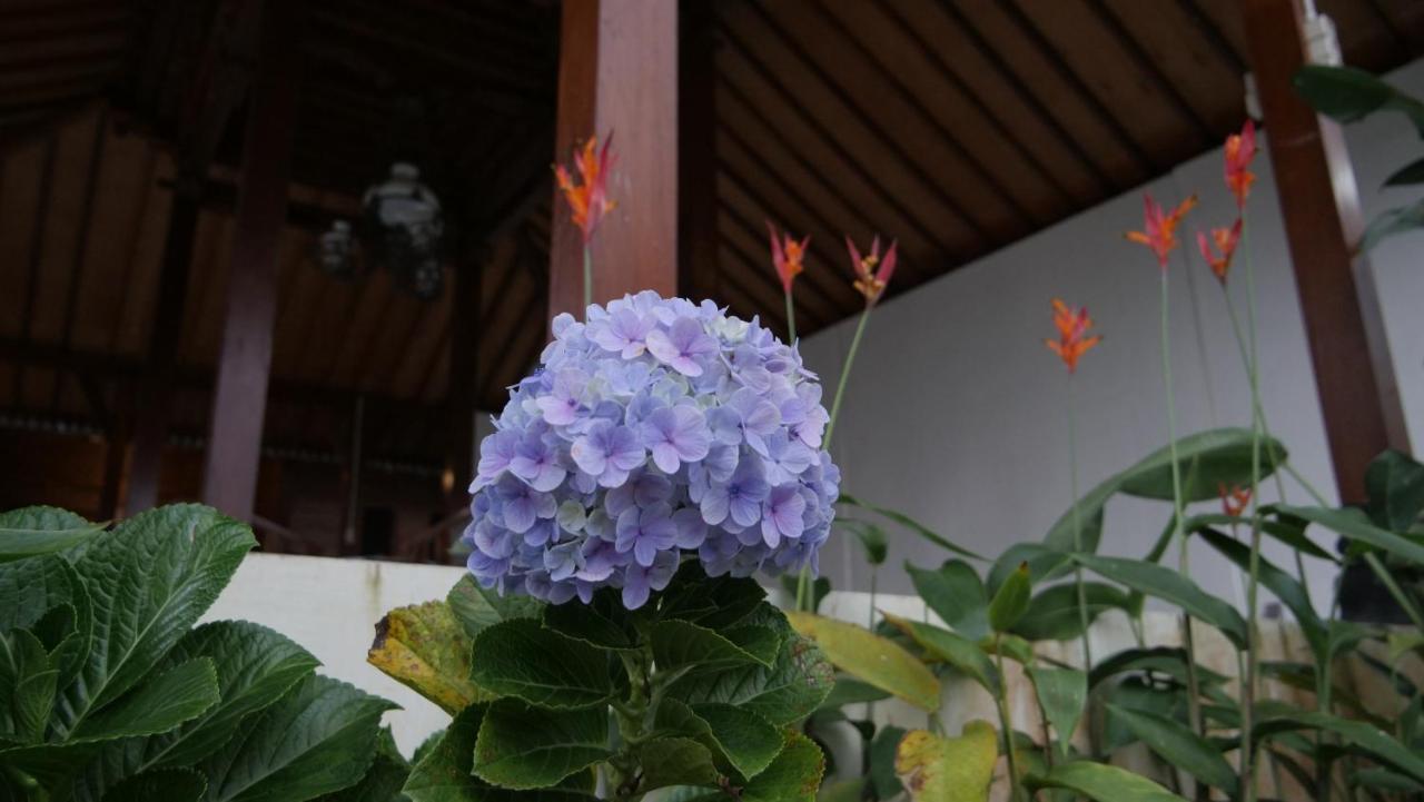 Sanggar Pantcha Indra Guest House Kemuning Eksteriør bilde